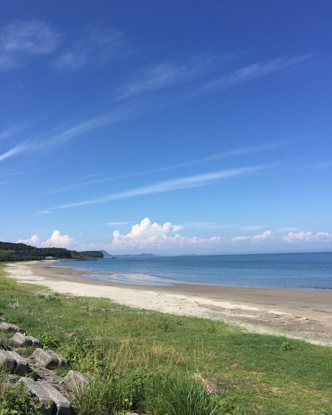 海、夕焼け、稲穂🌾